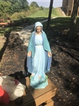 Blessed Virgin Mary Project Update